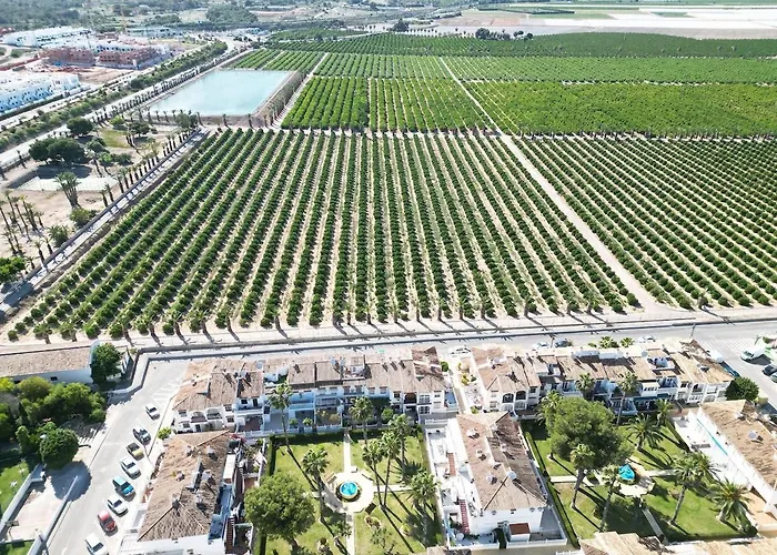 Bungalo Junto A La Piscina #prp008 Stayorihuela Torrevieja